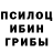 Псилоцибиновые грибы Psilocybe hvd iv